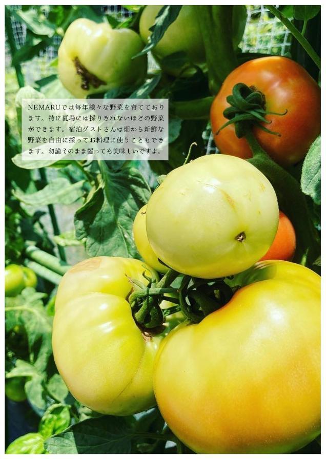 Hotel Nemaru Live With Books Nagaoka  Exterior foto